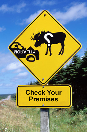 2009-11-05.moose