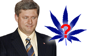 2010-03-11.harper-hemp